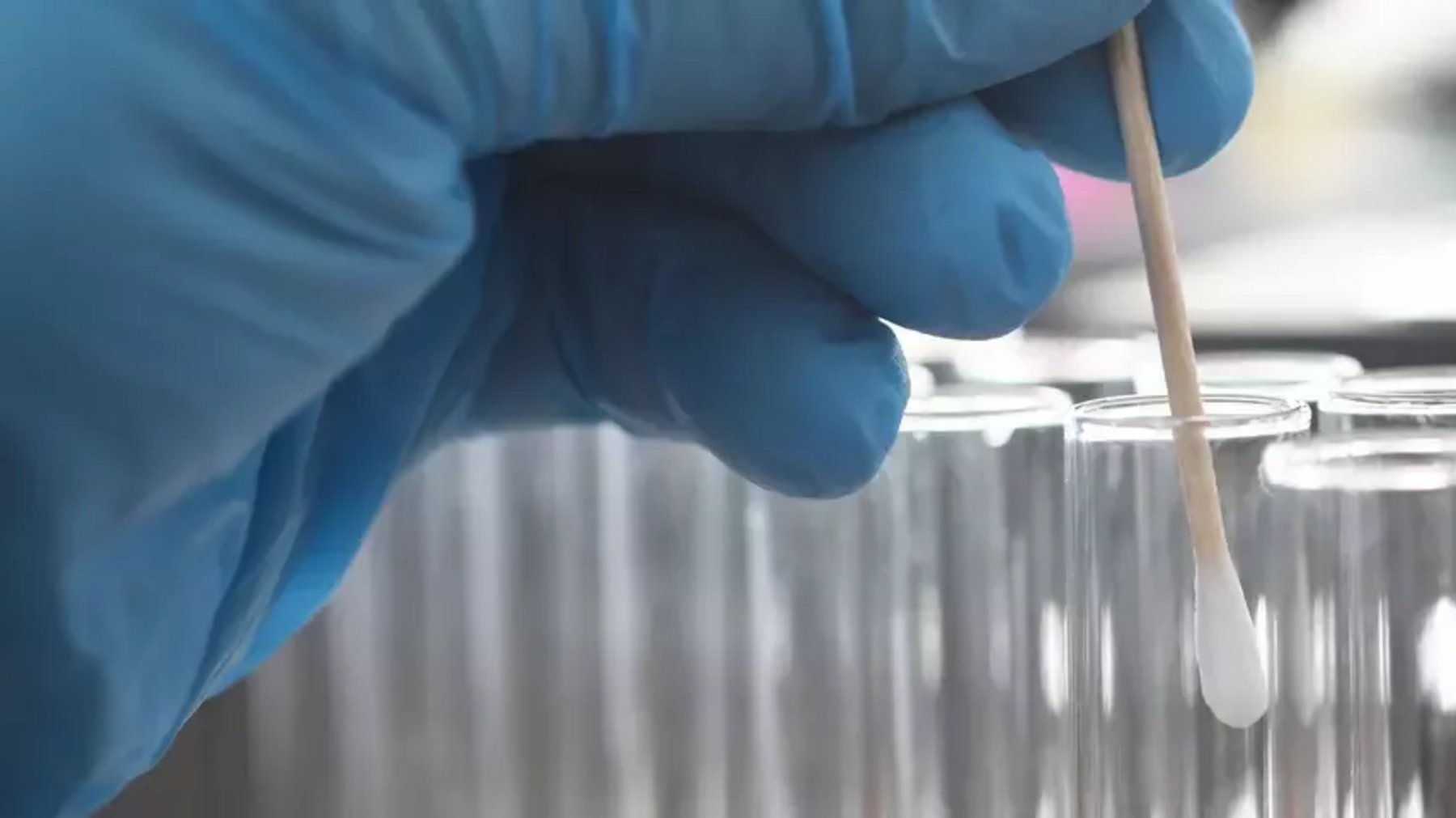 The difference between PCR and rapid tests Healthcare Digital