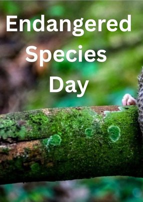 Endangered Species Day 2025 Logo