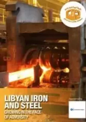 Libyan Iron and Steel Company (LISCO)