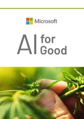 Microsoft: using AI to change the world