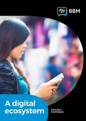 BBM: A digital ecosystem inside Indonesia