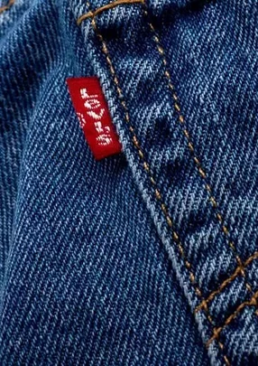 Levi Strauss & Co. – A supply chain transformation at one of the world's  best-recognised brands | Supply Chain Magazine