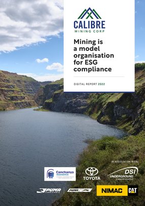 Mining as a model industry for esg compliance