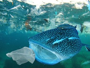 How is AWS Using AI to Clean Up Ocean Plastics?