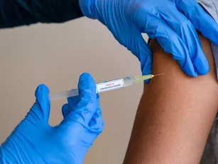 Vaccine research targeted by cyberattacks in last 12 months