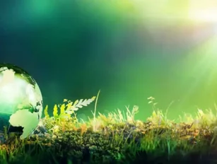 Save Money, Save the Planet: How to Implement Environmentally Friendly Business Processes