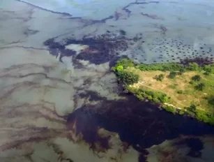 Shell Oil Spill off Nigeria's Coast: Worst in a Decade