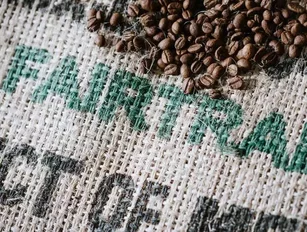 From farm to cup: Looking at the supply chain of a fair trade coffee bean