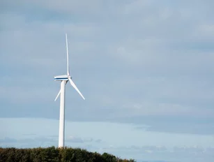 Nestlé launches wind farm in Scotland to meet renewable energy targets