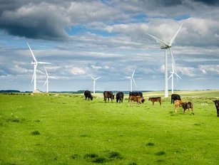 Iberdrola ramps up sustainability transformation with $920mn Scottish Power fossil fuel sale
