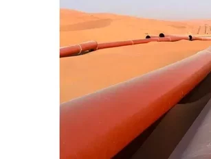 Saudi Aramco pitches natural gas to China