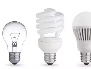 The truth about the incandescent bulb ban