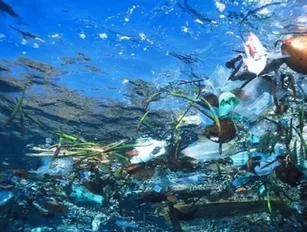 Solving the Plastic Pollution Problem