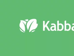 American Express announces it will acquire Kabbage