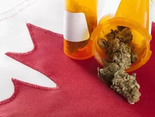 Health Canada to receive $432mn in marijuana legalisation fund