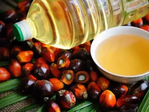 Unilever to increase sustainable palm oil production in Indonesia