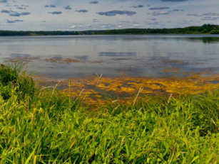 Mitigating the harm of record breaking climate events