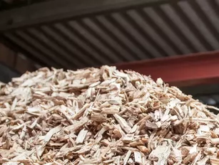 Biomass energy can power the planet from animal droppings