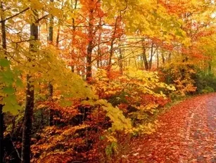 Social media, a sign of the seasons