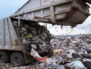 Organic Waste Recycling Draws in $110 Million