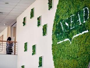 Developing the Green CEO generation