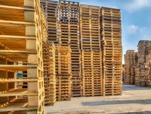 Pallets: The Hidden Linchpin of the Supply Chain