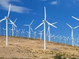 Texas Spearheads Wind Power