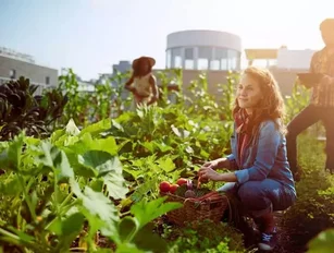 Urban farming: technology and tradition