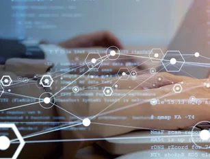 The smart software decisions to avoid business complications
