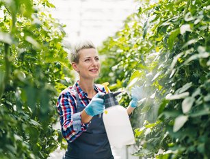 Top 10 sustainable food manufacturers