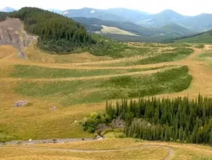 Mine Site Closure and Reclamation at Goldcorp