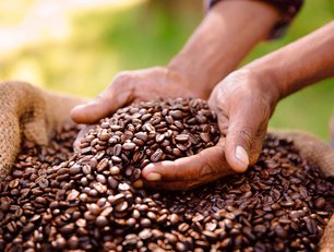 How is Nestlé making coffee farming more sustainable?