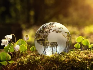 Ecovadis expands its leadership in global supply chain sustainability ratings
