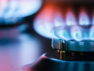 UK energy industry in turmoil as gas prices surge pre-winter