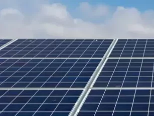 Bulb energy: counting the cost of special administration