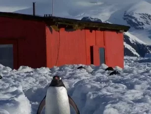 Fibrelite composites reach the Antarctic