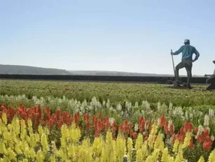 Salinas Valley Meets Silicon Valley: The Future of Agriculture