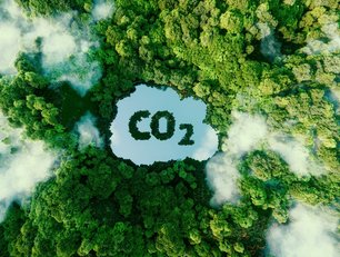 How is Sievo helping procurement teams gain CO2 visibility?