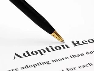 Adoption Agency Directors Charged with Fraud