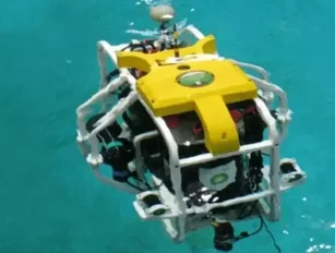 Scientists Launch Crowdfunding for Coral Repairing Robots