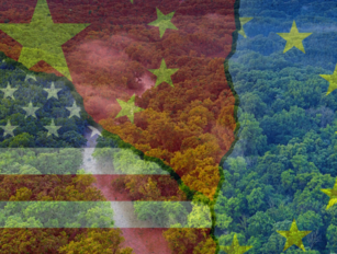 Deforestation in the light of supply chain accountability