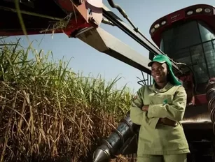 Inside Biocom's $1bn, 80,000-hectare Angolan sugarcane enterprise