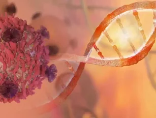 Pfizer and Cipla work to counteract the growing number of cancer cases in Africa
