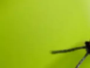 Microsoft warns Windows users of critical unpatched cyberbug