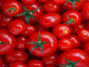 Solar System to Increase Domestic Food Security?