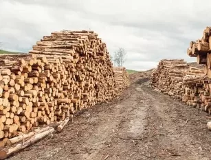 Victorian government signs $40mn-plus deal to buy floundering timber mill