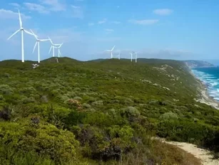 Fluctuating energy demand, high prices hit South Australia