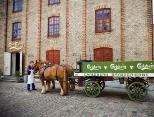 Carlsberg to invest $117 million to expand its largest brewery in Europe
