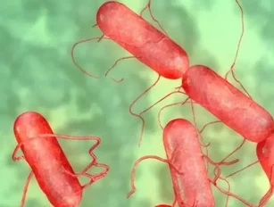 What doctors can learn from the recent salmonella outbreak