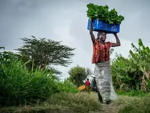 Insurance programme launched to support African women farmers